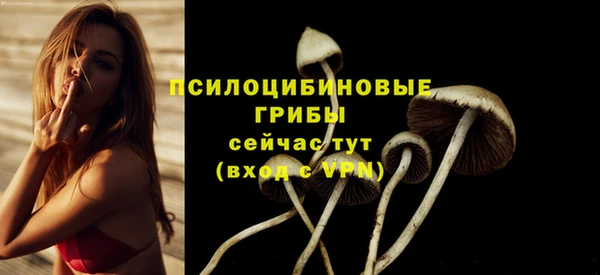 хмурый Богданович