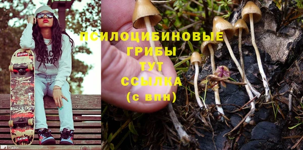 COCAINE Богородицк