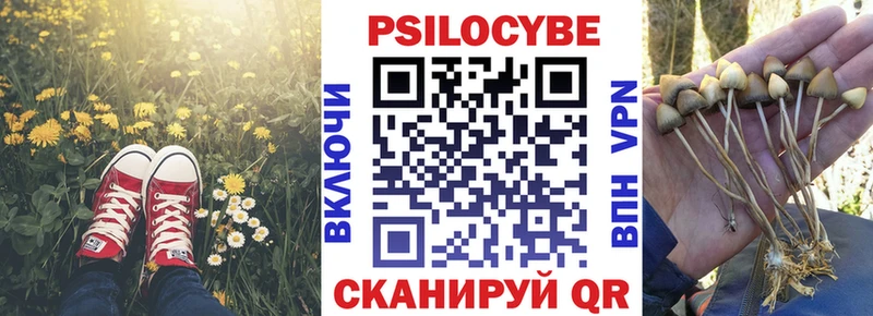 darknet какой сайт  Дигора  Галлюциногенные грибы Psilocybe  закладка 